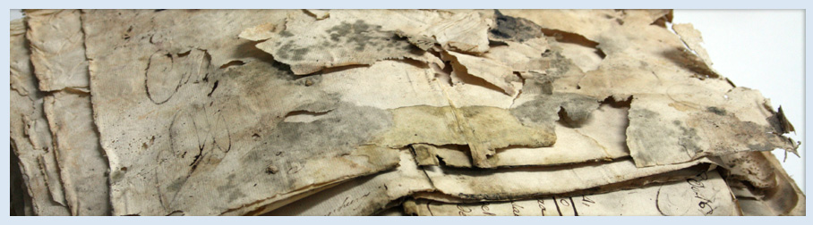 Actuaciones ante desastres